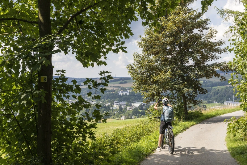 Rowerzysta na leśnej drodze z widokiem na Neuhausen